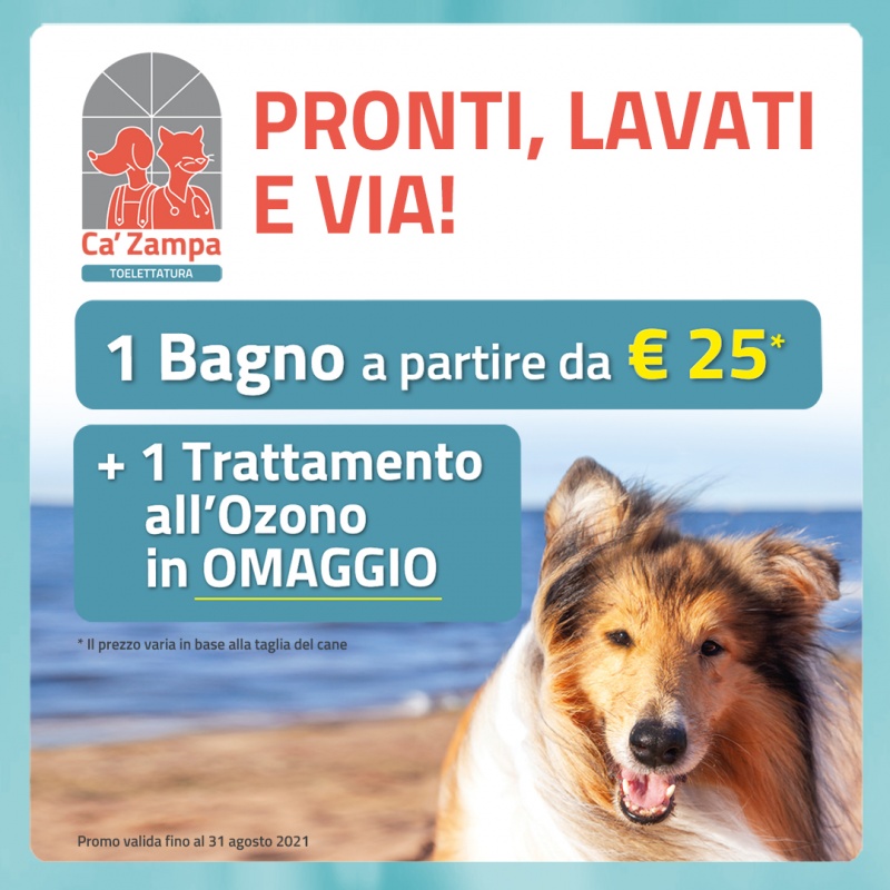 Regala al tuo amico a 4 zampe un momento di benessere